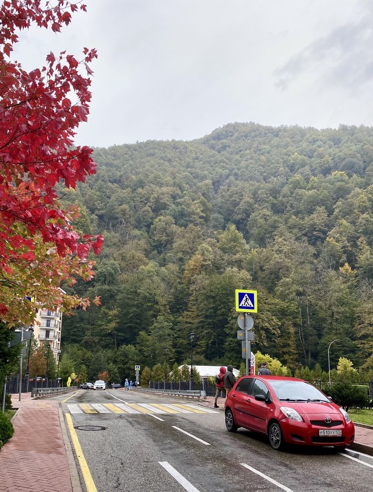 Photograph by Алиса Лукина