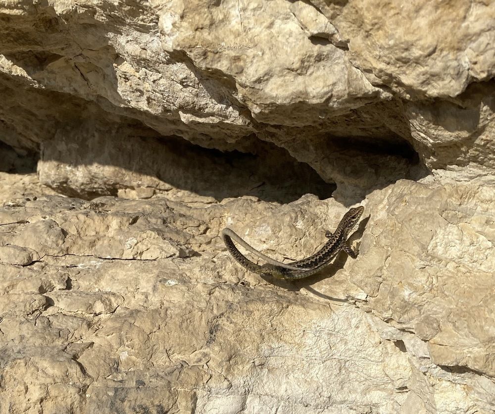 Photograph by Алиса Лукина