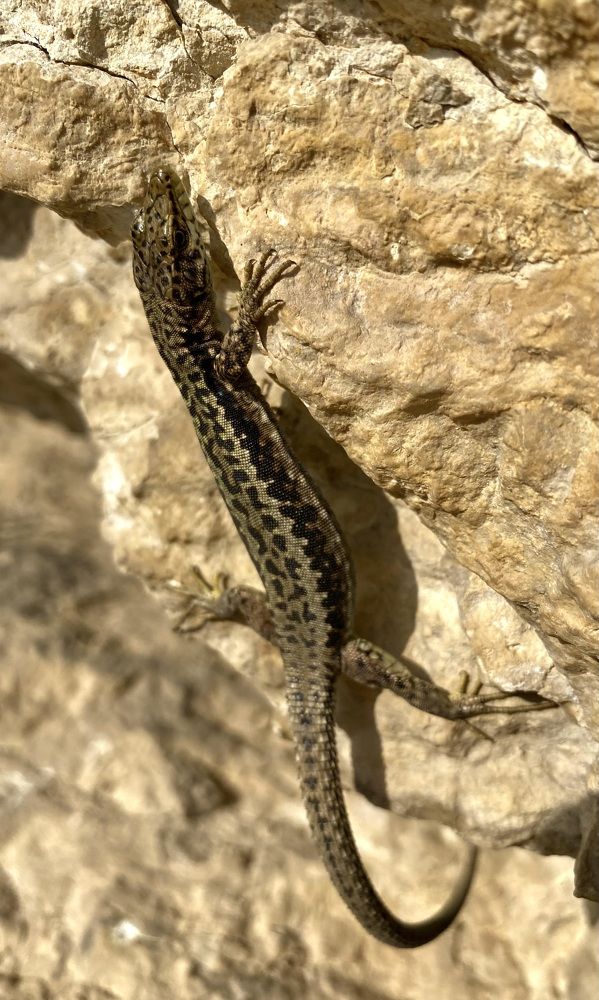 Photograph by Алиса Лукина