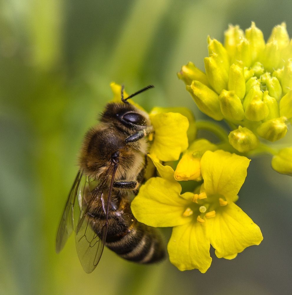 За работой.