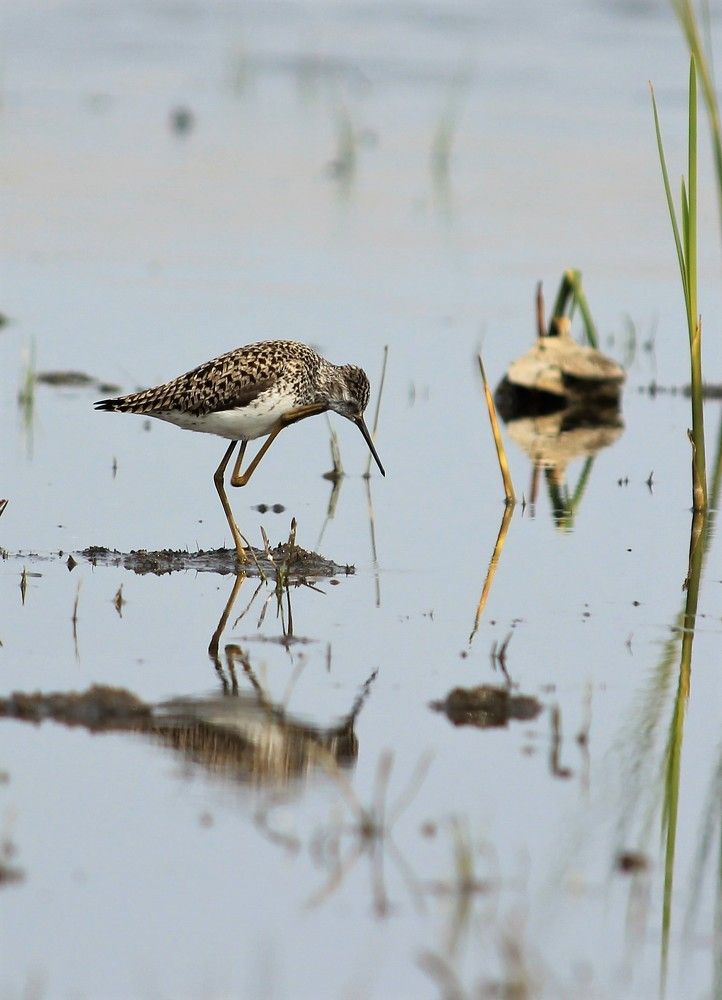 Photograph by Анна Колосова