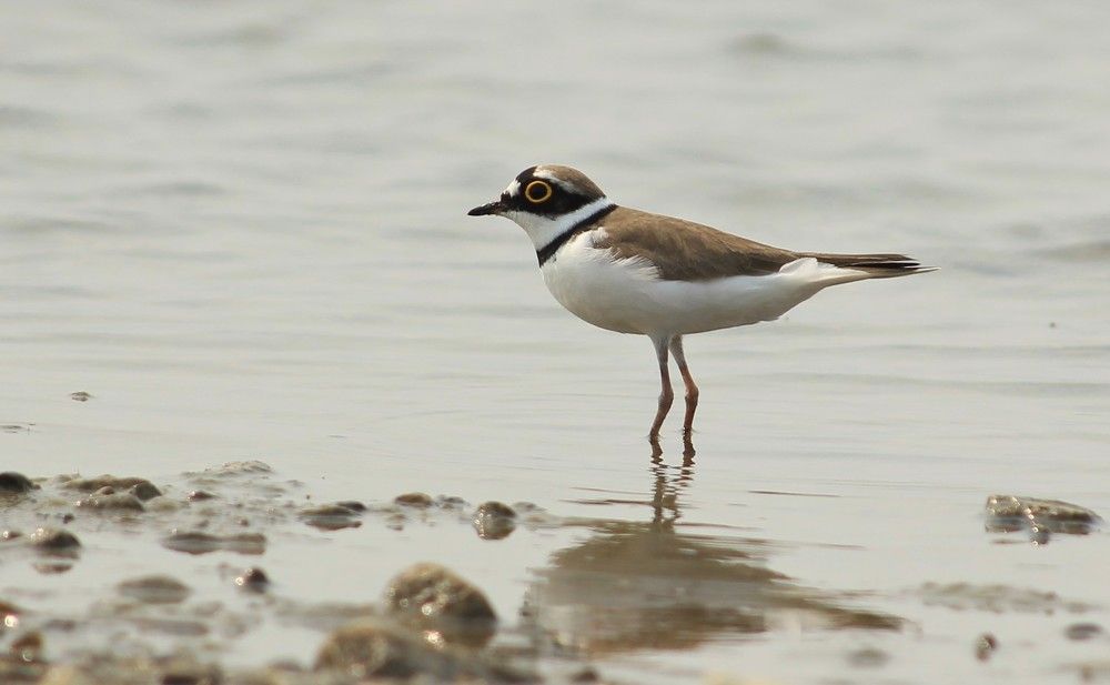 Photograph by Анна Колосова