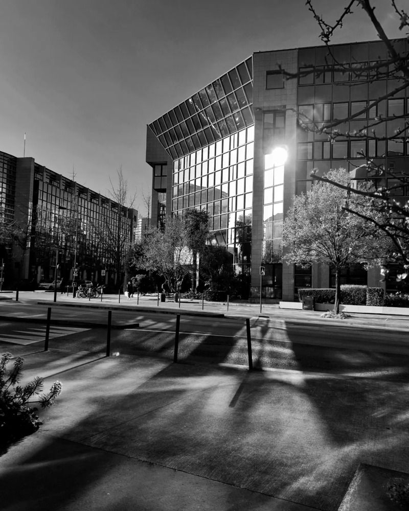 Photograph by Аlina BRAZIUL