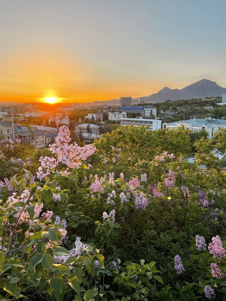 Photograph by Виктория Триско