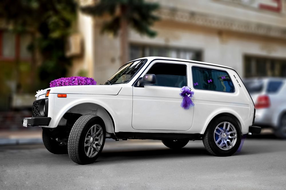 Photograph by Дашдемир Мамедов