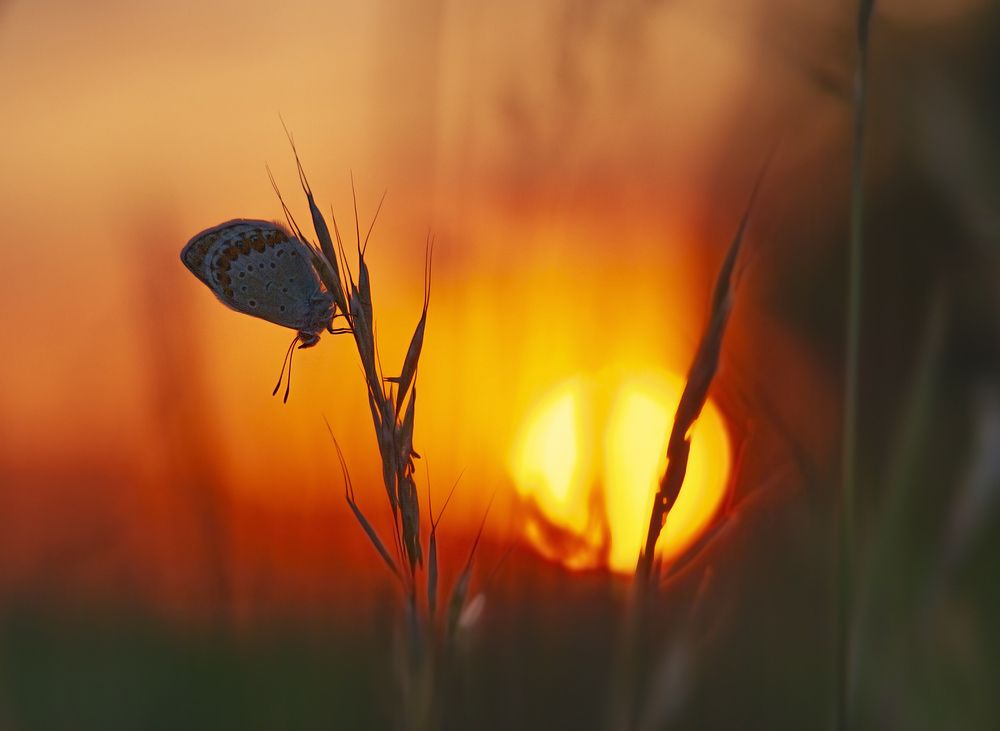 Photograph by Владимир