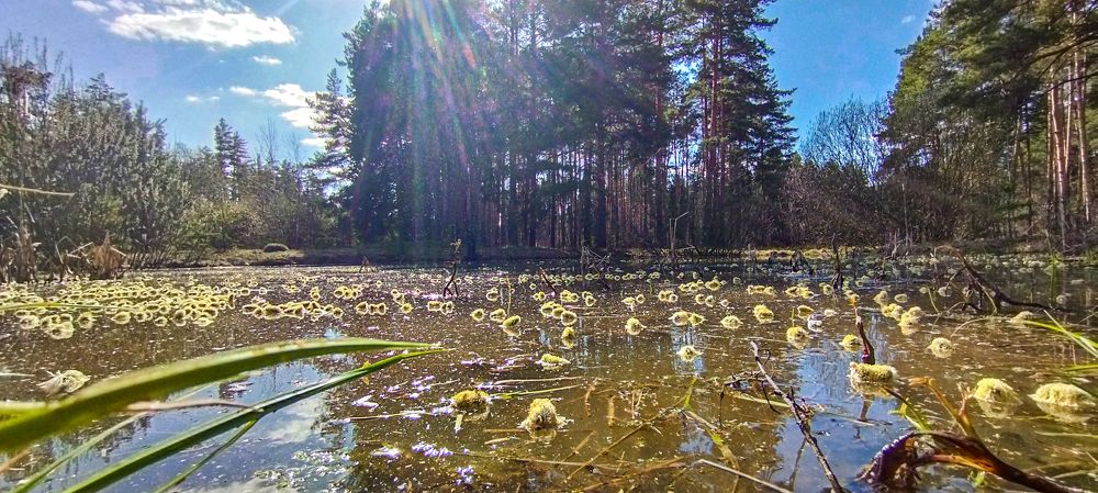 Photograph by Игорь Смирнов