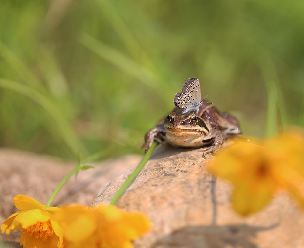 Photograph by Евгения Левина