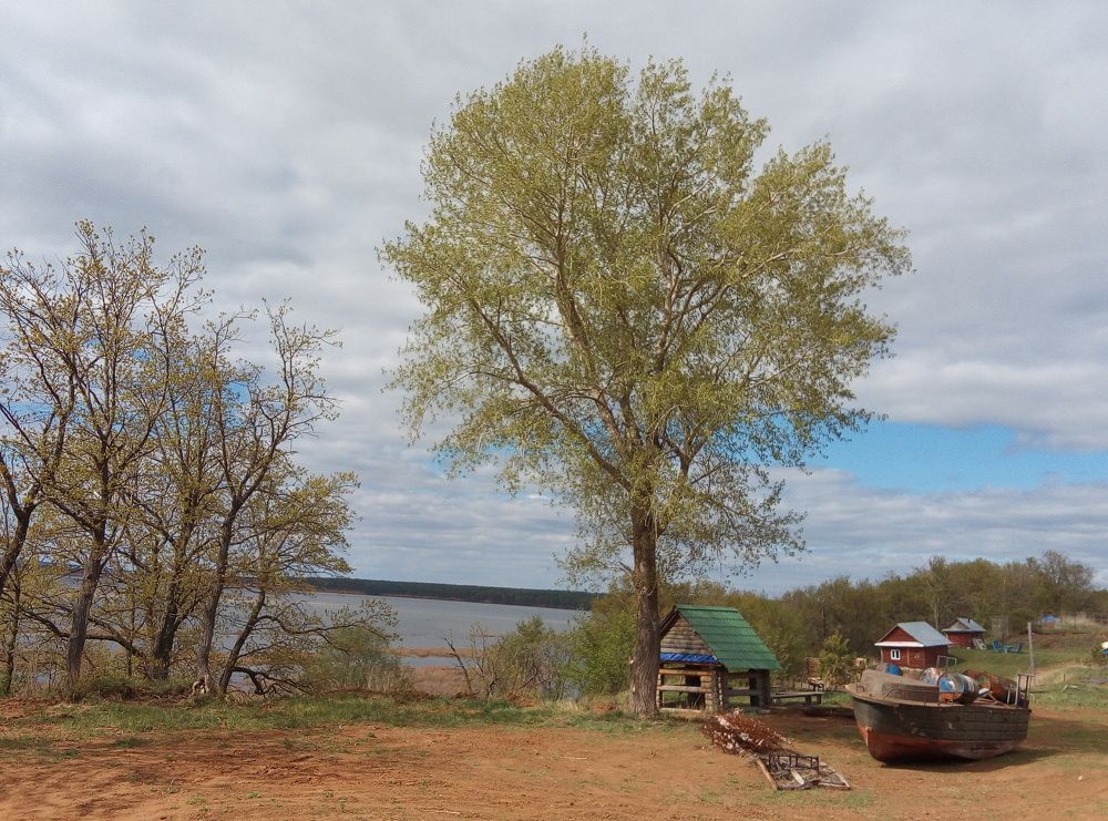 Photograph by Галина Сабитова