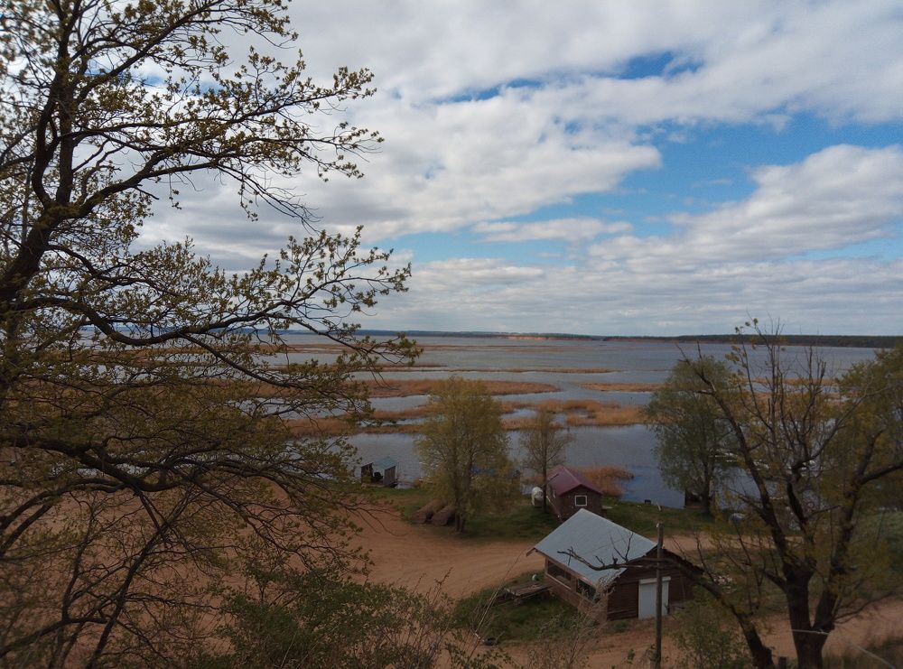 Photograph by Галина Сабитова