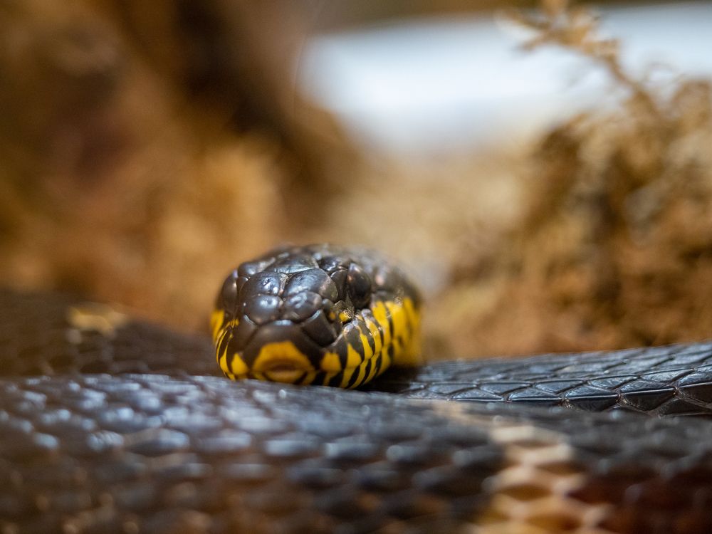 Photograph by Александр Васильев