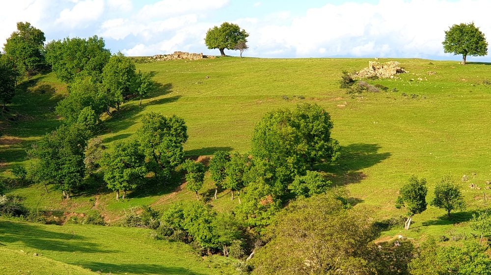 Photograph by Viktorova