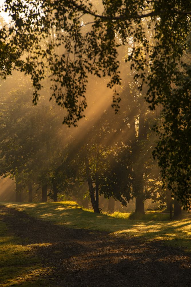 Photograph by Grzegorz Truchanowicz