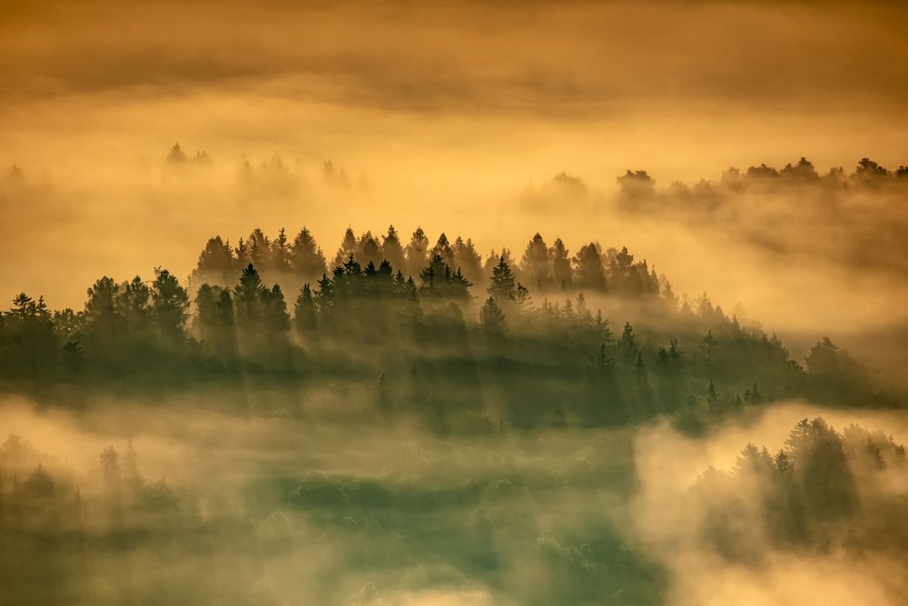 Photograph by Grzegorz Truchanowicz