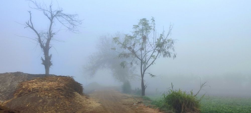 Photograph by Hashem Mohamed