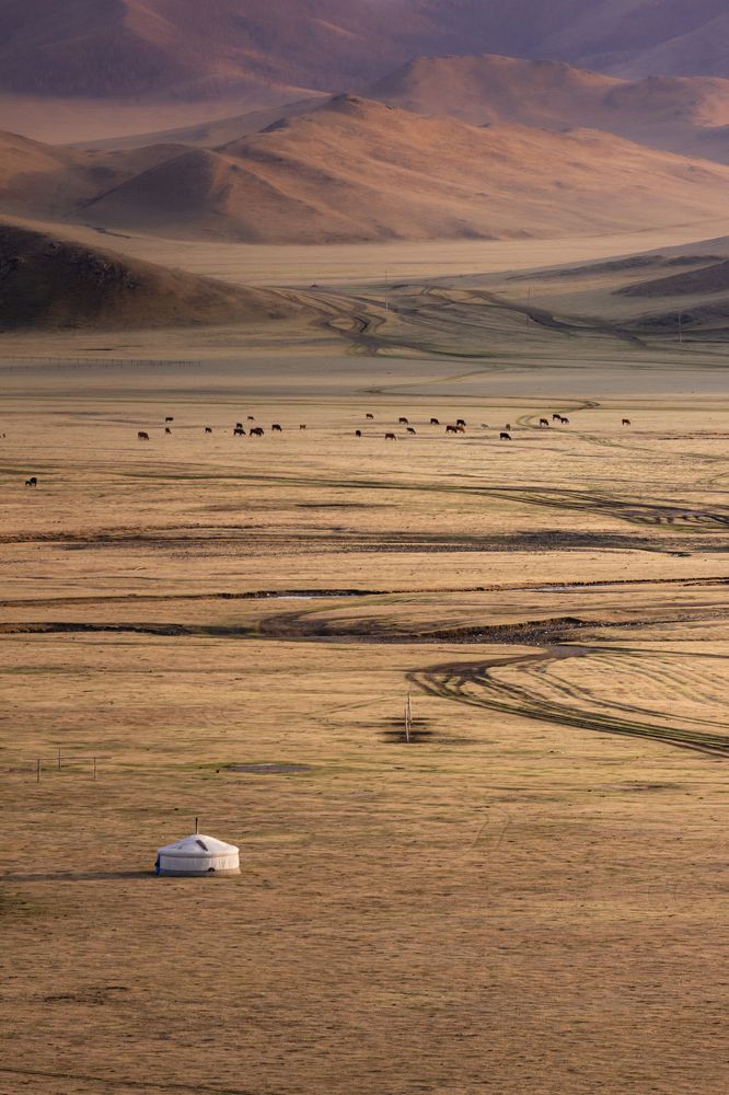 Photograph by Трофимов Алексей