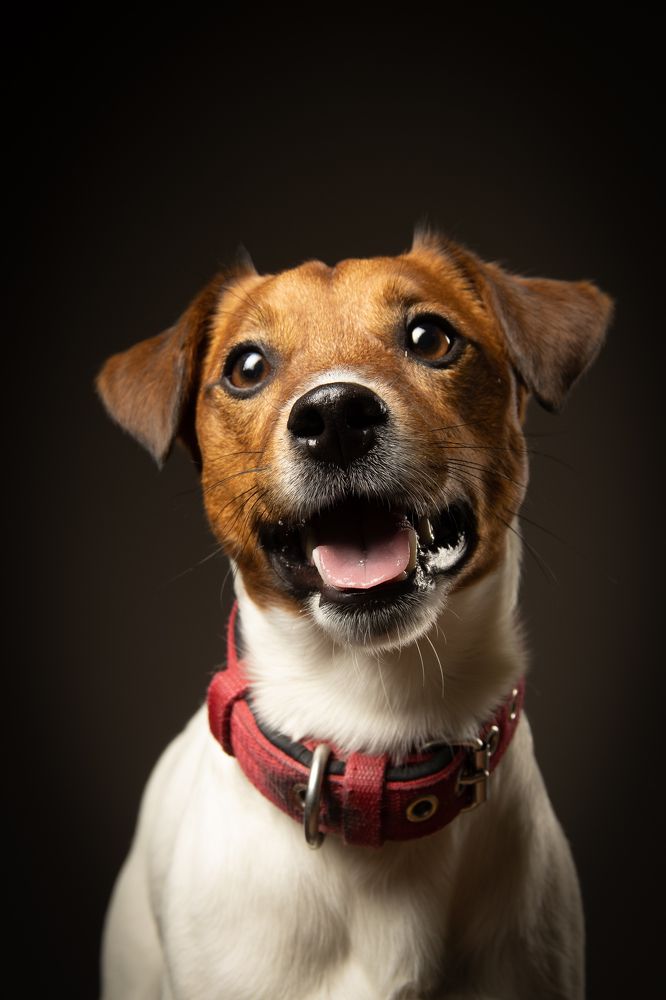 Photograph by Третьяков Сергей