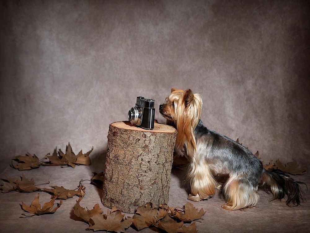 Photograph by Ilias Kapsomenakis