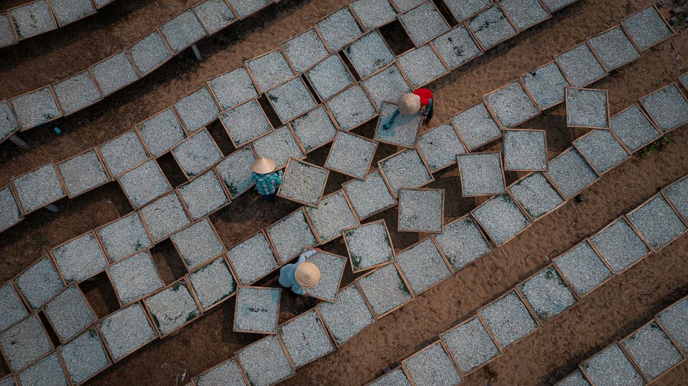 Photograph by Hanh P. T. Pham