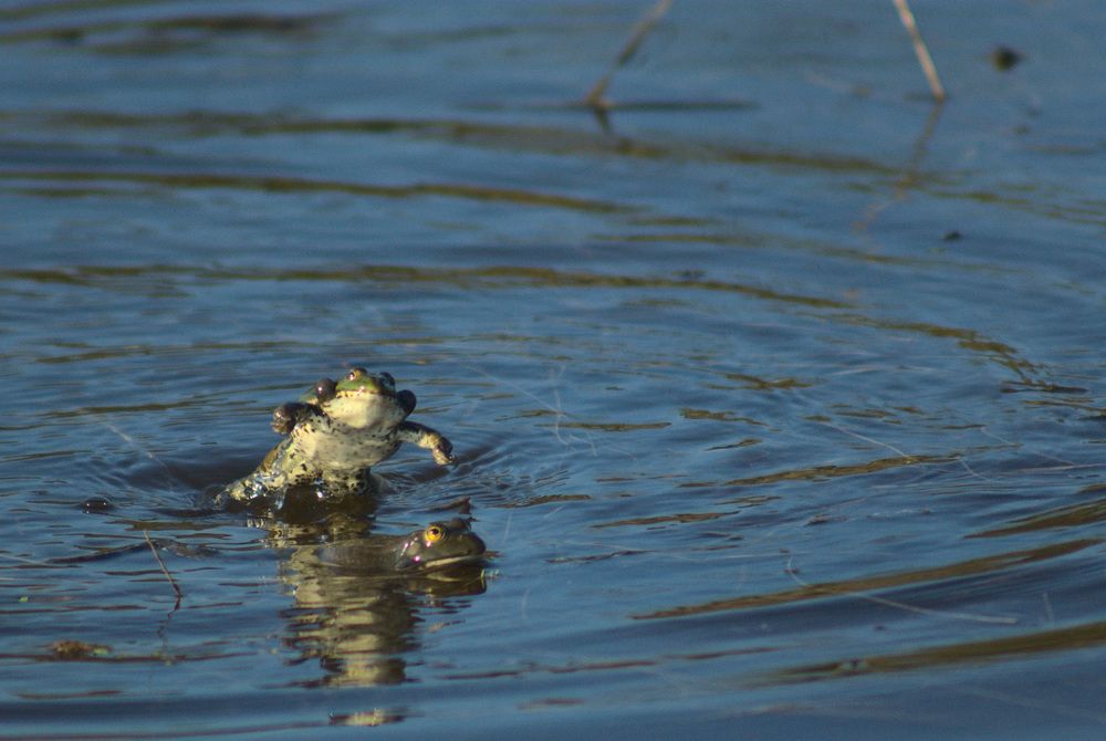 Photograph by Дмитрий Павлов