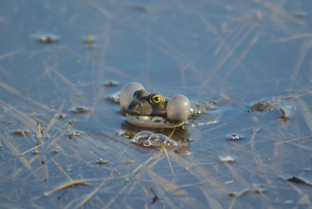 Photograph by Дмитрий Павлов