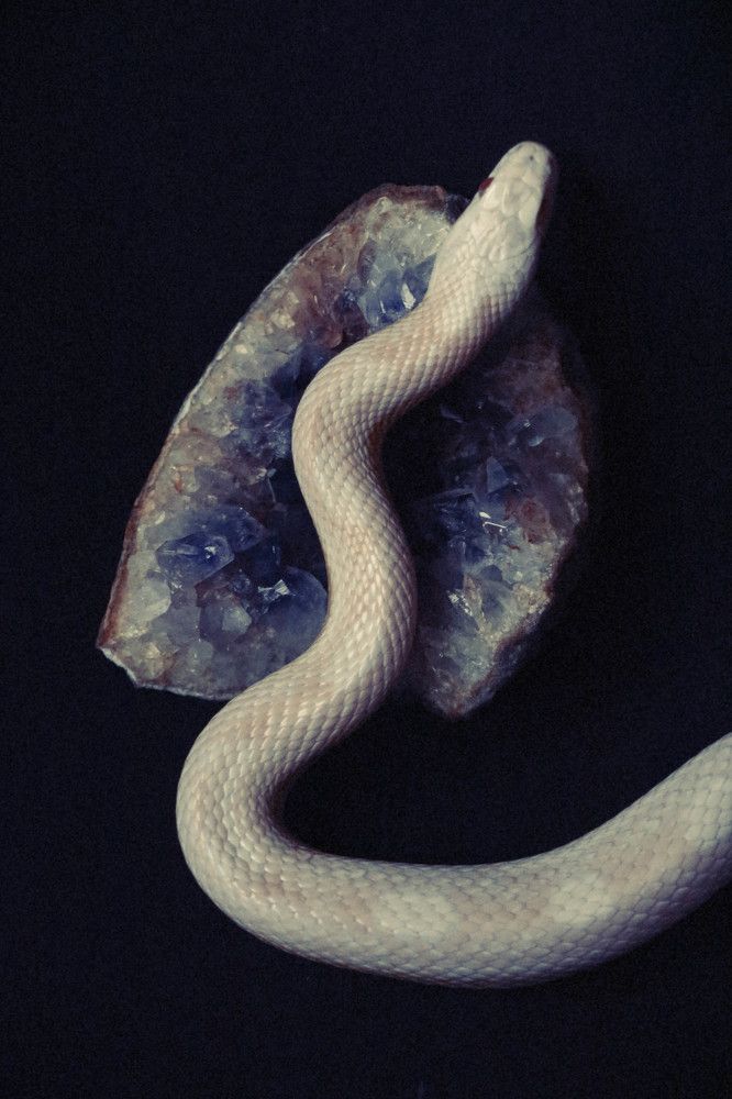 Photograph by Рондак Ульяна