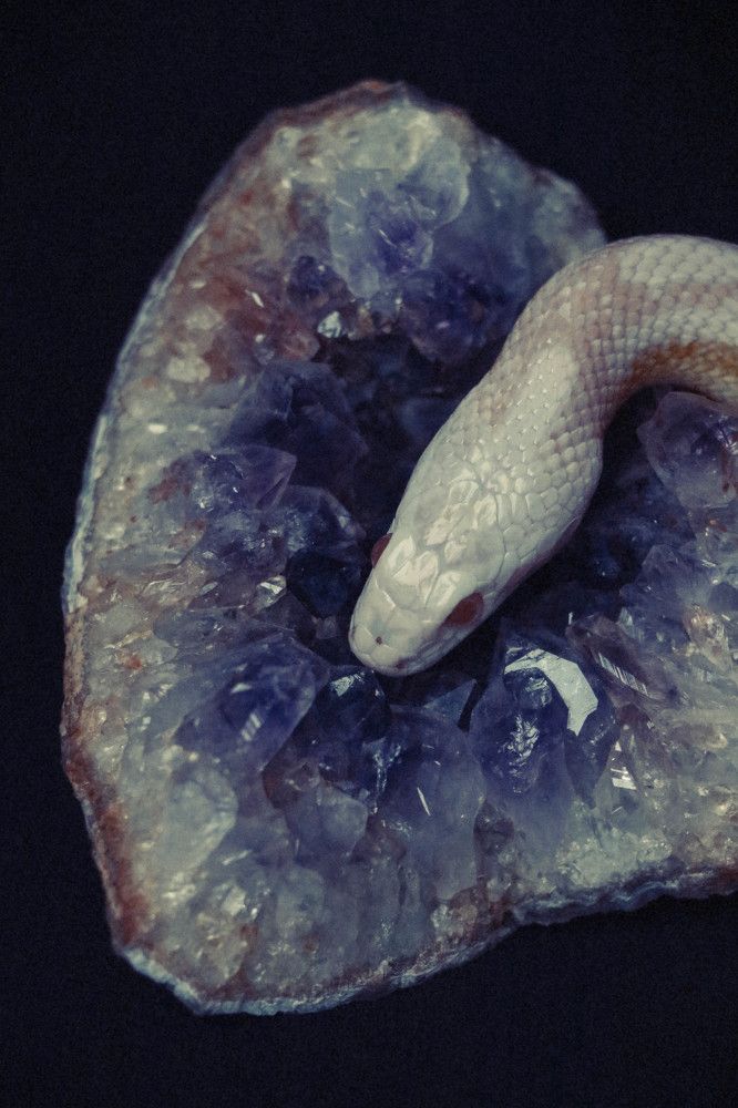 Photograph by Рондак Ульяна