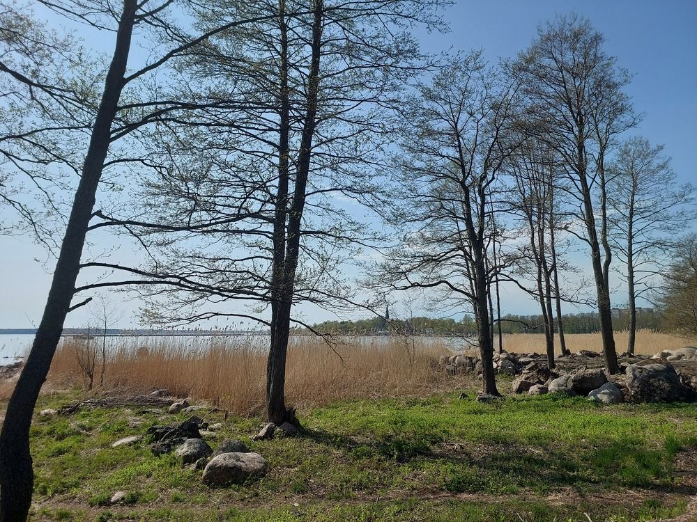 Photograph by Андрей Нурулин