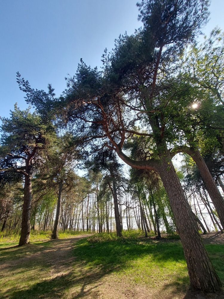 Photograph by Андрей Нурулин