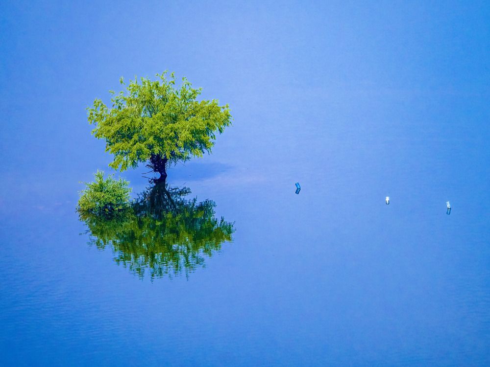 Photograph by Слави Котаров