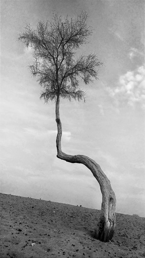 Photograph by Soroush Karimi