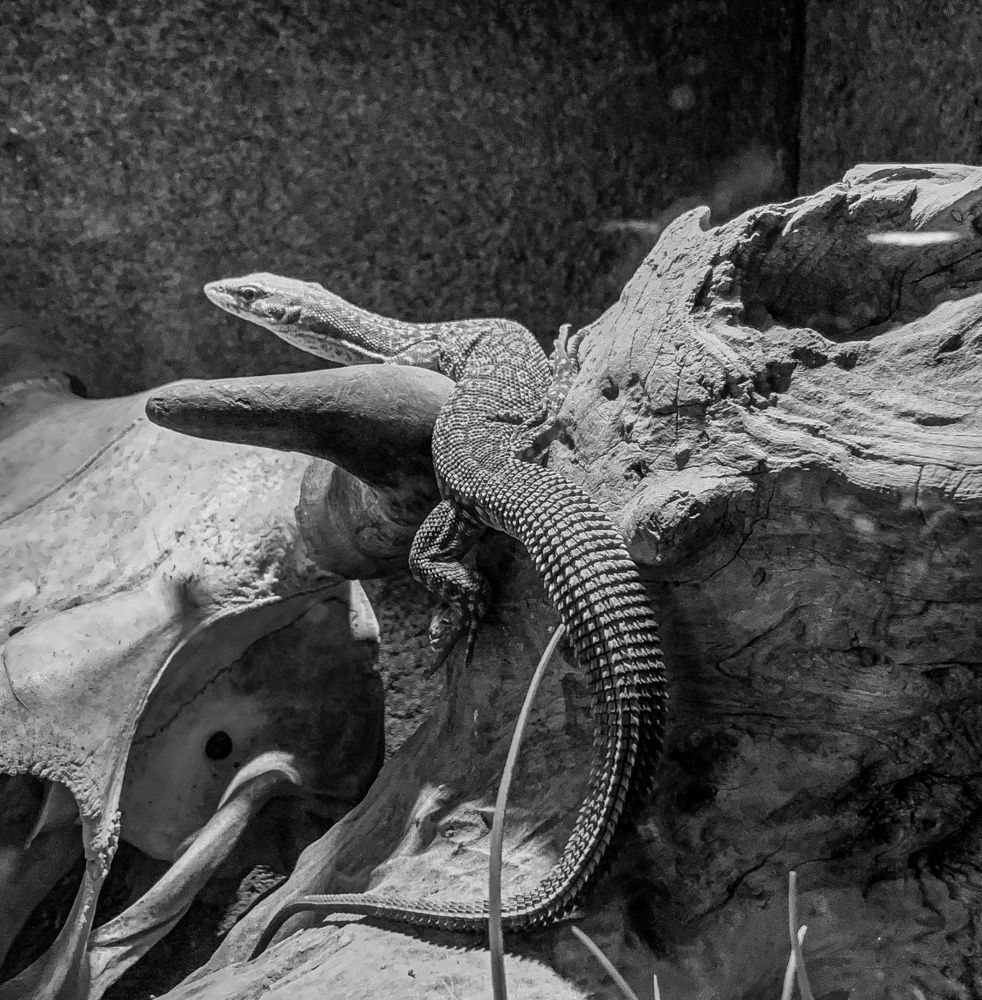 Photograph by Vitalii Kaznin