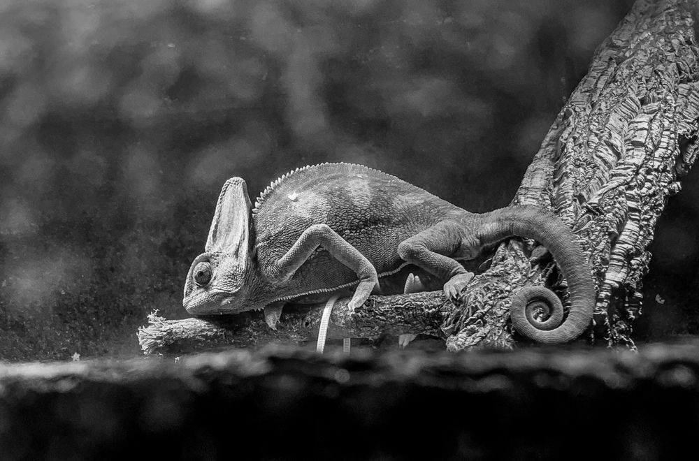 Photograph by Vitalii Kaznin