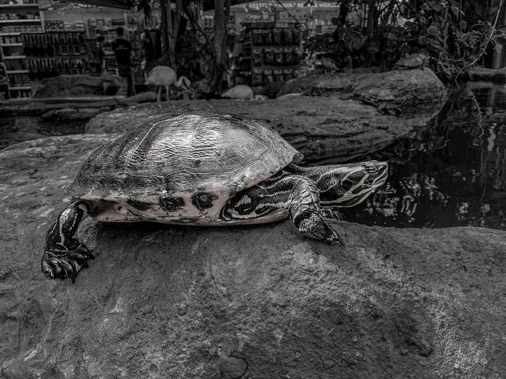 Photograph by Vitalii Kaznin