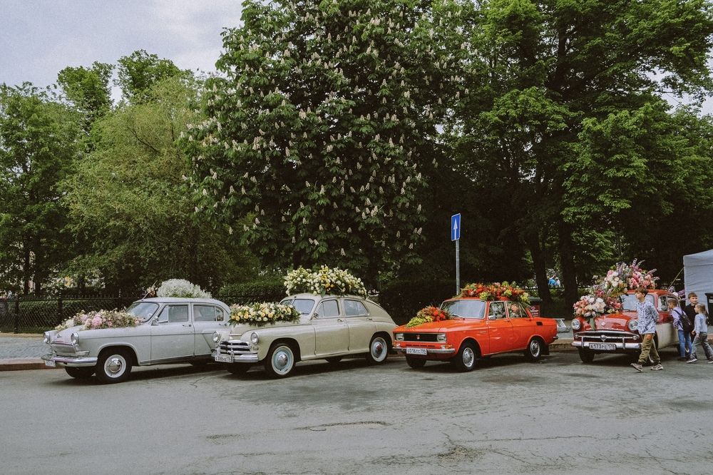 Photograph by Виктория Лавринович