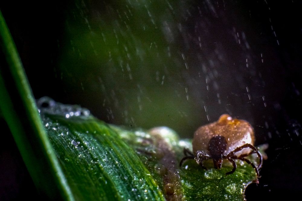 Photograph by Алексей Ильин