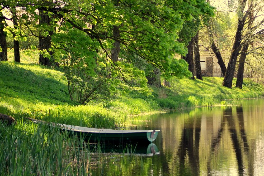 Photograph by Алексей Макаров