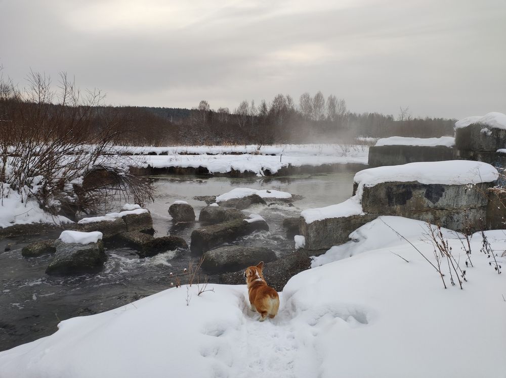 Photograph by Александр Костромин