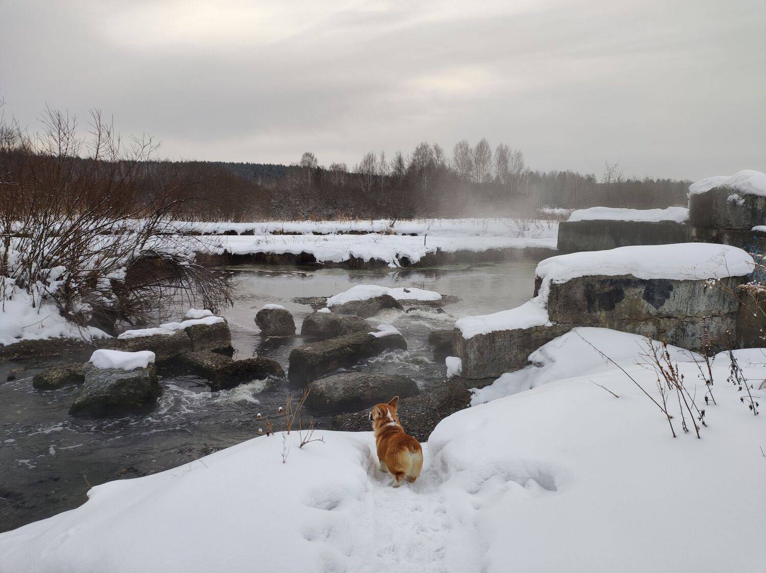 Photo #9123677