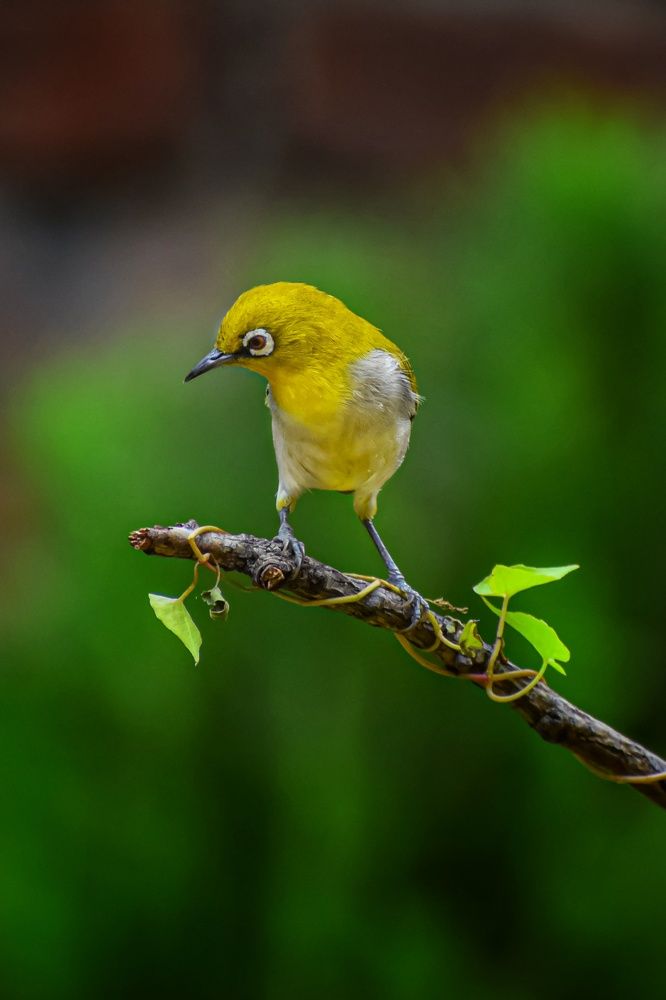 Showcasing the best ever pose