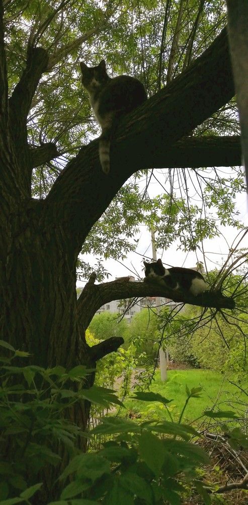 Photograph by Лариса Неудачина