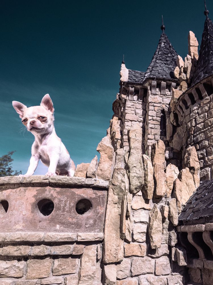 Photograph by ИРИНА РУВИНСКАЯ