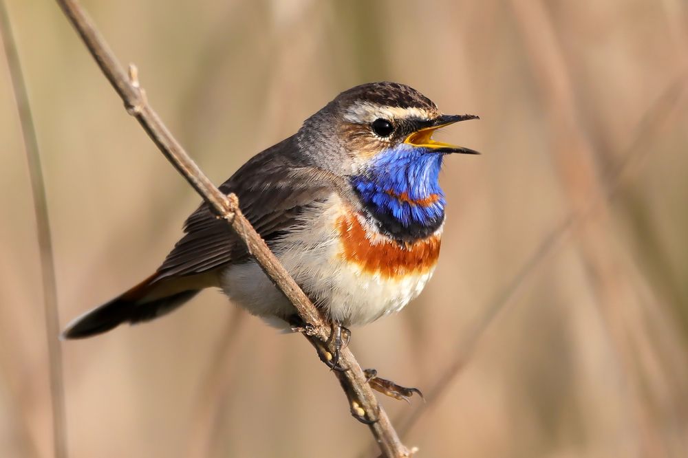 Photograph by Алексей