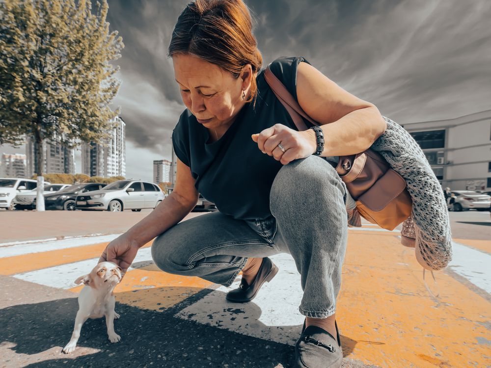 Photograph by ИРИНА РУВИНСКАЯ