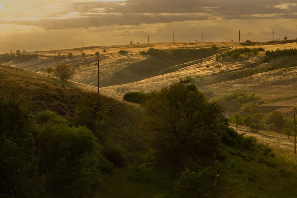 Photograph by Nastya Perekhodkina