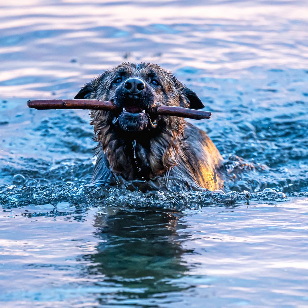 Photograph by ИРИНА РУВИНСКАЯ