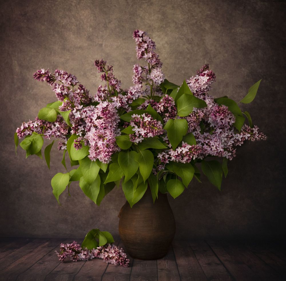 Photograph by Ирина Ефимова