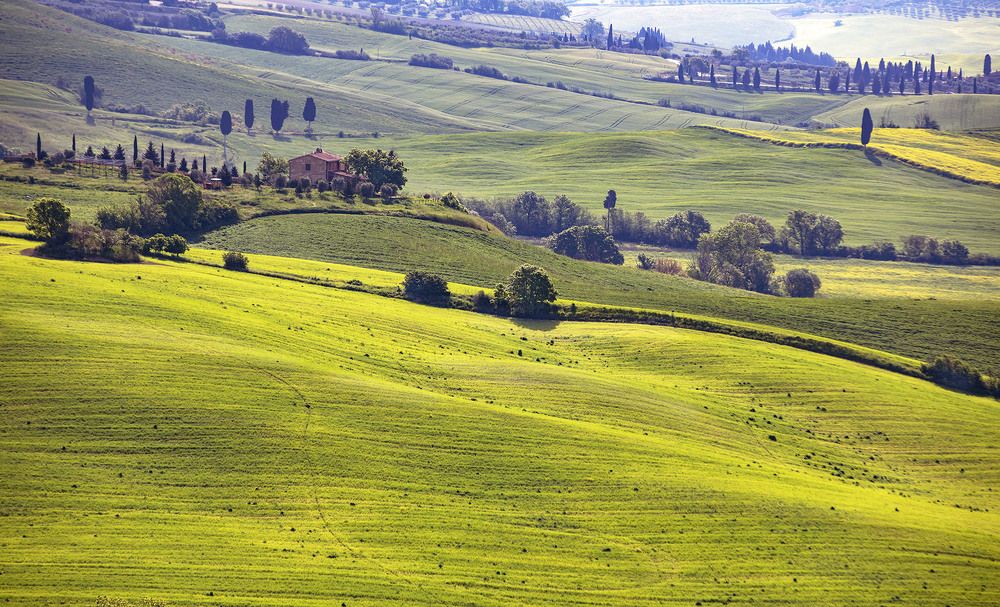 Photograph by Валентина Булкина
