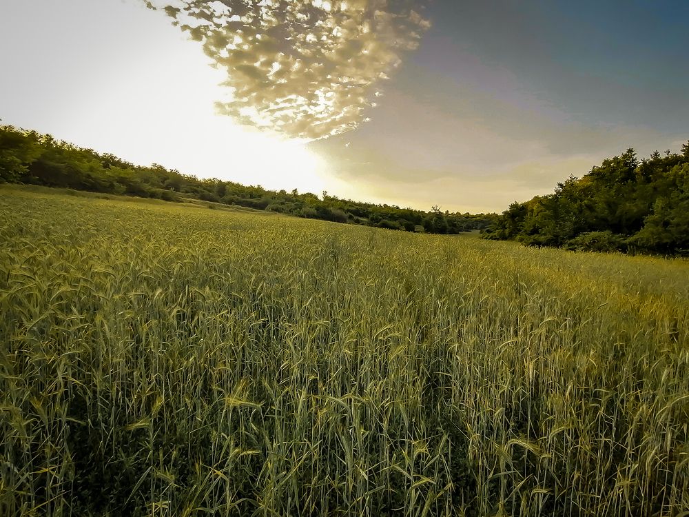 Photograph by Христо Колев