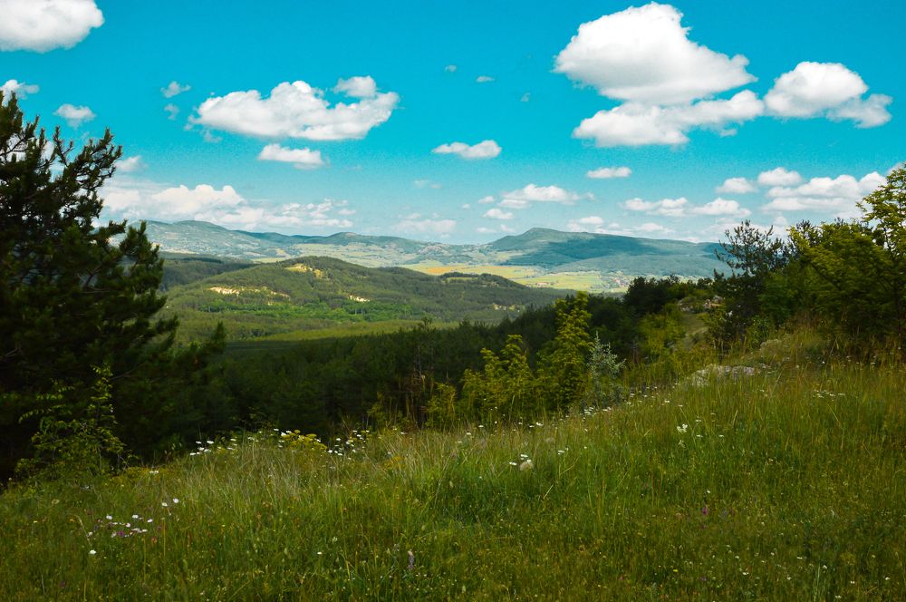 Photograph by Христо Колев